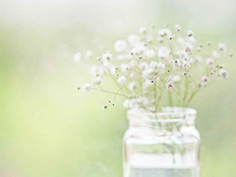 揭秘1006年星空奇观：是星座还是千年一遇的天文事件？