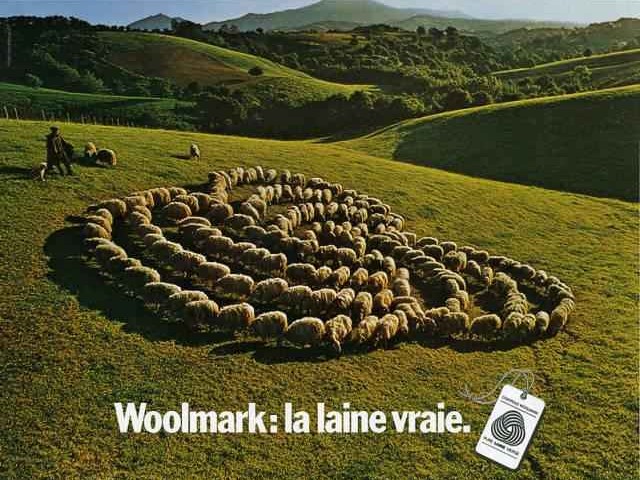 揭秘Woolmark羊毛标志它到底是什么来头