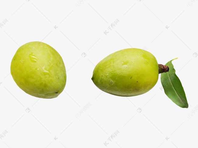 橄榄颜色大揭秘青果油橄大不同